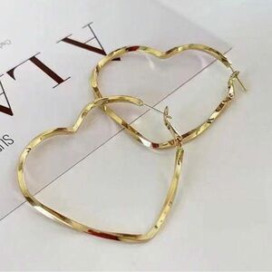 Heart Shaped Twist Design Earrings